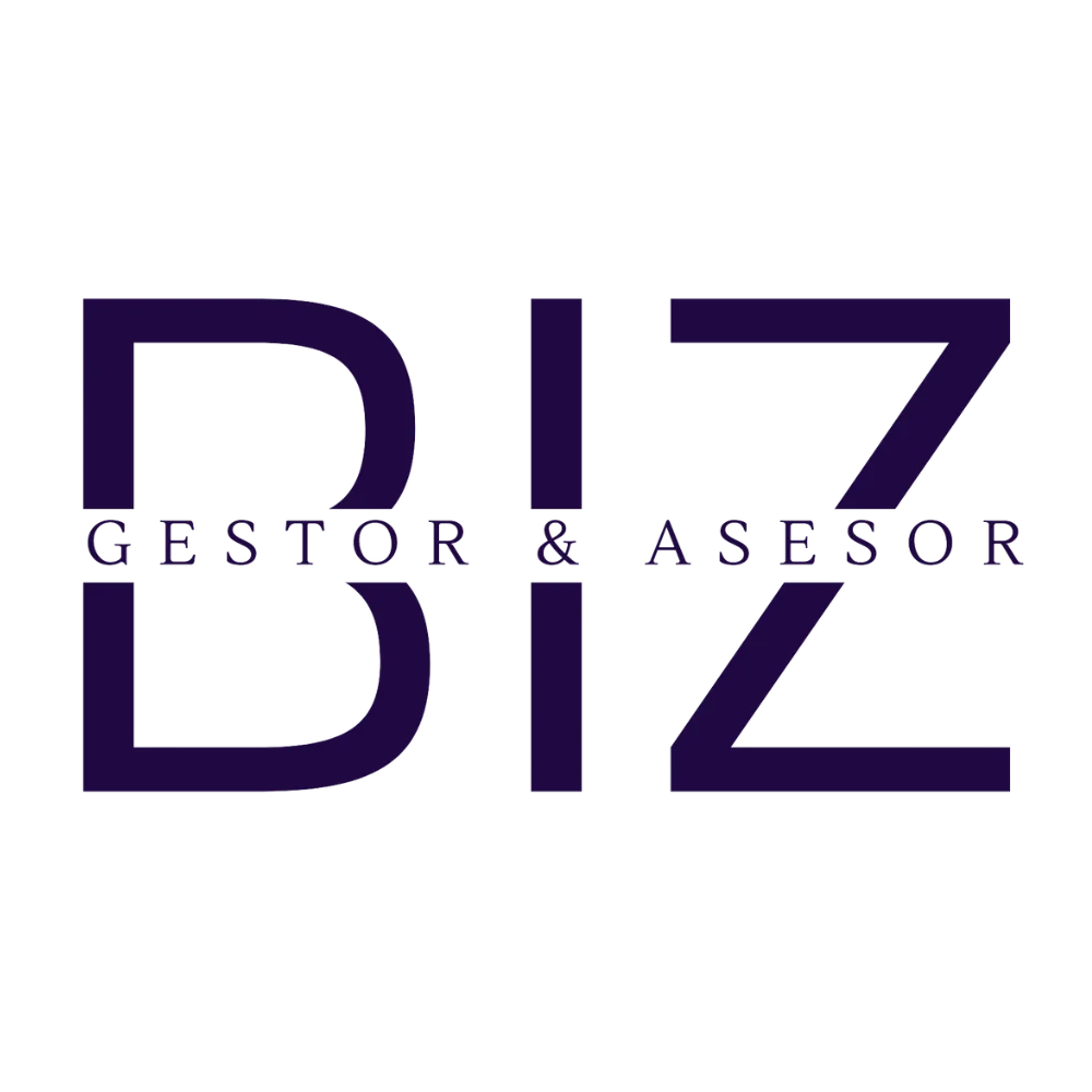 Bizgestor Logo